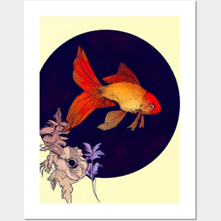 Japanese Goldfish Posters and Art